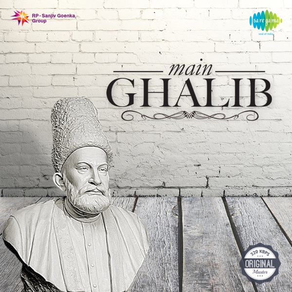 Cover artwork for Mirza Ghalib - T V Serial
