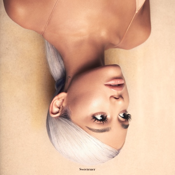 Cover artwork for pete davidson