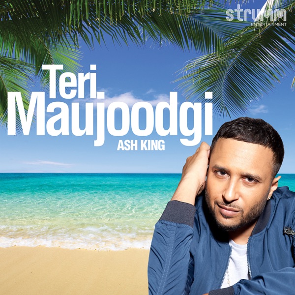 Cover artwork for Teri Maujoodgi