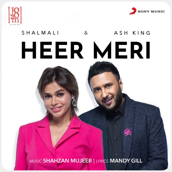 Cover artwork for Heer Meri