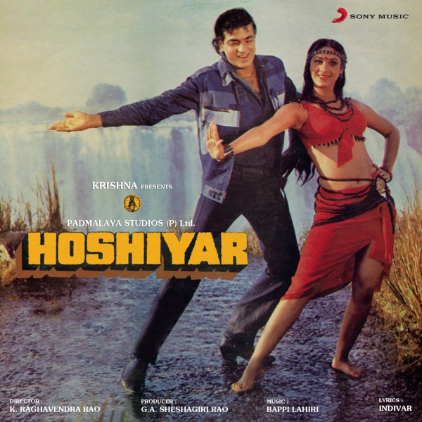 Cover artwork for Deewana Dil Sangeet Ka