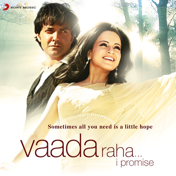 Cover artwork for Vaada Raha