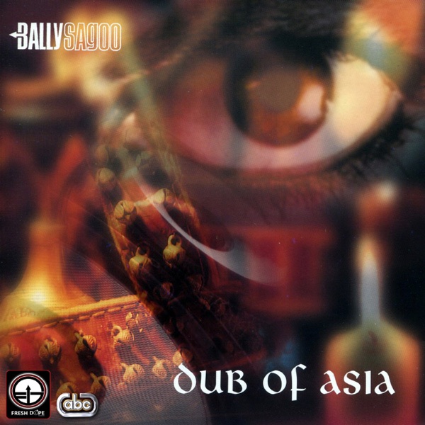 Cover artwork for Salaam Dub