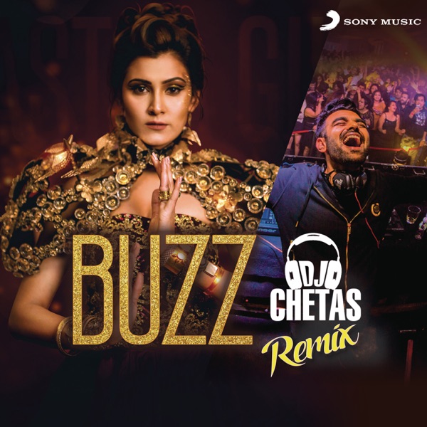 Cover artwork for Buzz