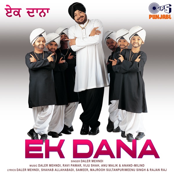 Cover artwork for Hum Tere Hi Deewane Hai