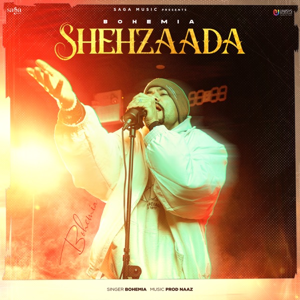 Cover artwork for Shehzaada